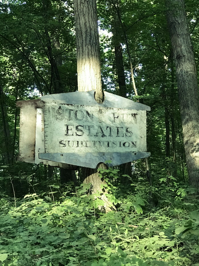 Stony Run - July 2020 Photo (newer photo)